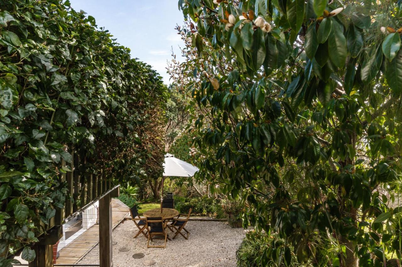 Kowhai Cottage & Studio Раглан Екстериор снимка